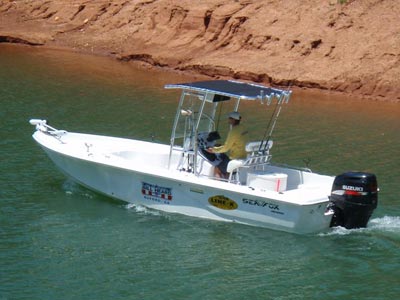 guide service boat with fishmaster t-top