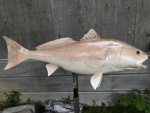 redfish fiberglass replica