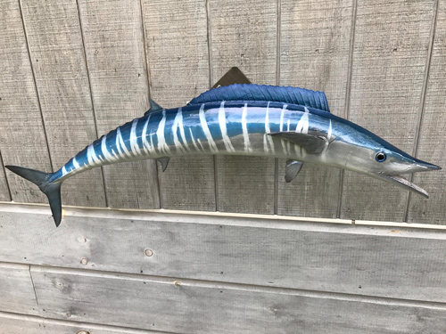 wahoo fiberglass replica