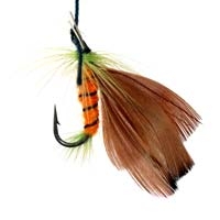 What Fly Should I Use? - Fly Fishing Basics - Fishmaster Blog