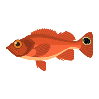 red fish icon