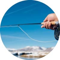 fly fishing rod and reel