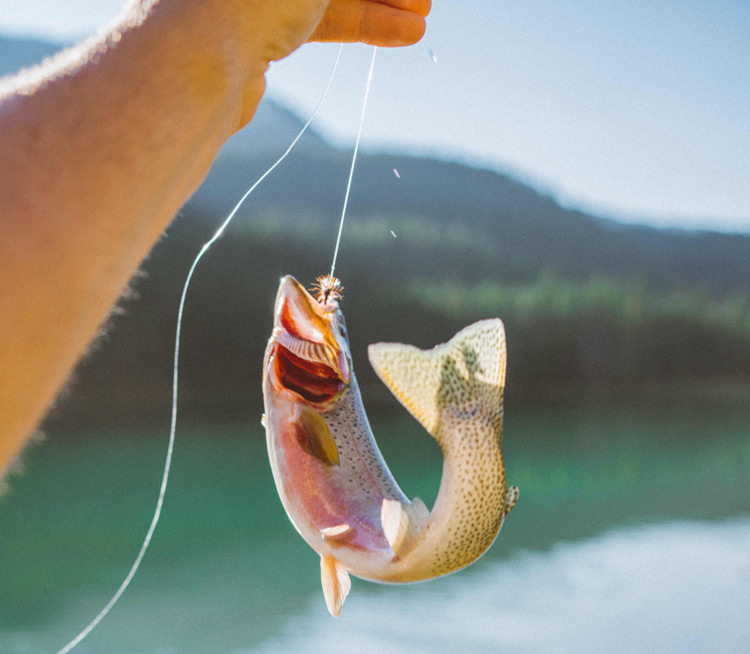 man reeling in trout on fishing line