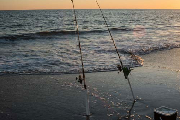 Surf Fishing