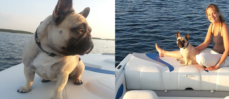 dog enjoys time on boat